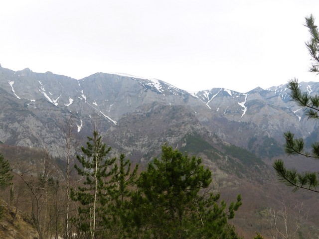 JAKUPICA SOLUNSKA GLAVA 2026